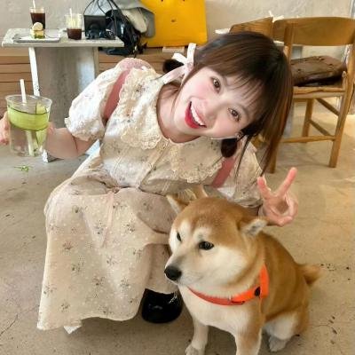 大象家族